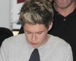Niall Horan Atacado