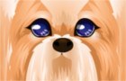JUEGOS DE VESTIR ANIMALES JUEGOS DE VESTIR ANIMALES